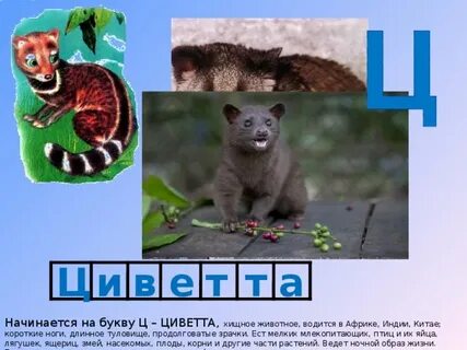 Животные начинающиеся на ем
