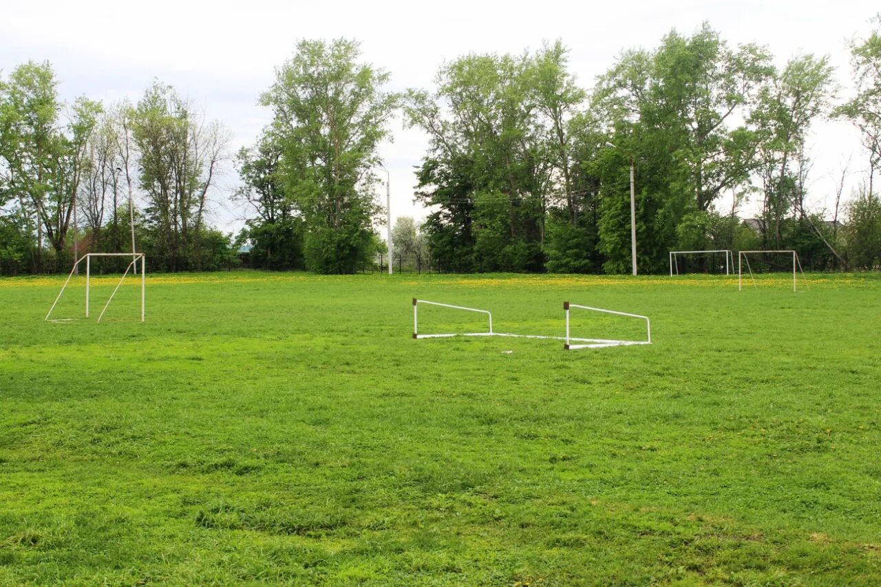 Нижнее поле первое. 5 см правое 1 см верхнее и нижнее по 2 см. Полоса издания это. Левые и правые поле. Нижнее поле первое.