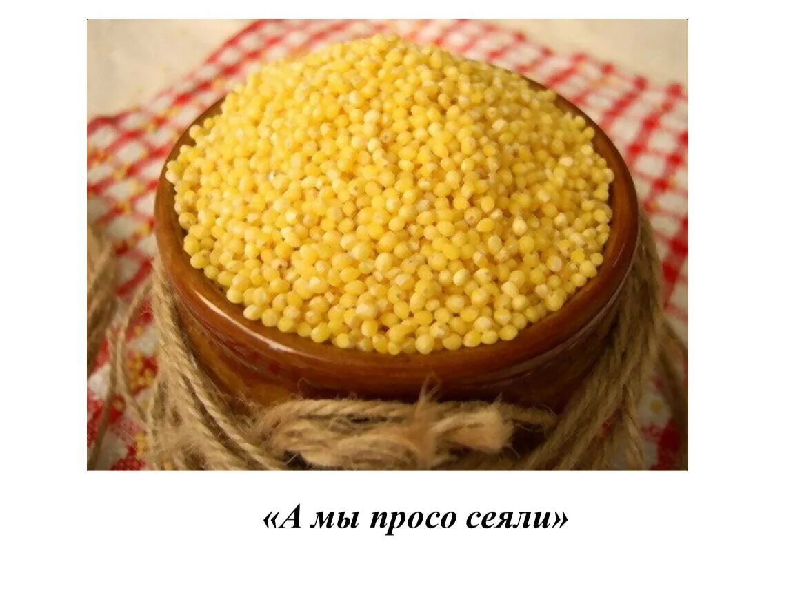 Пшена классы