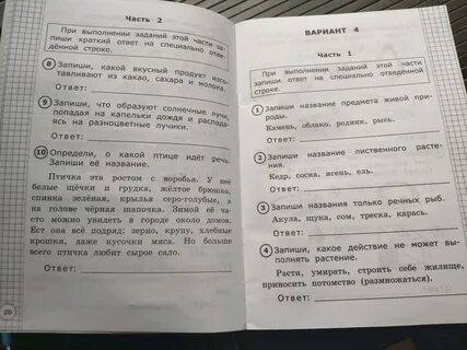Впр 3 класс окружающий мир