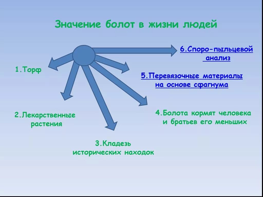 Функции болот. Значение болот в природе и для человека. Значение болот в природе и жизни человека. Значение болот в жизни человека. Значение болота в природе.