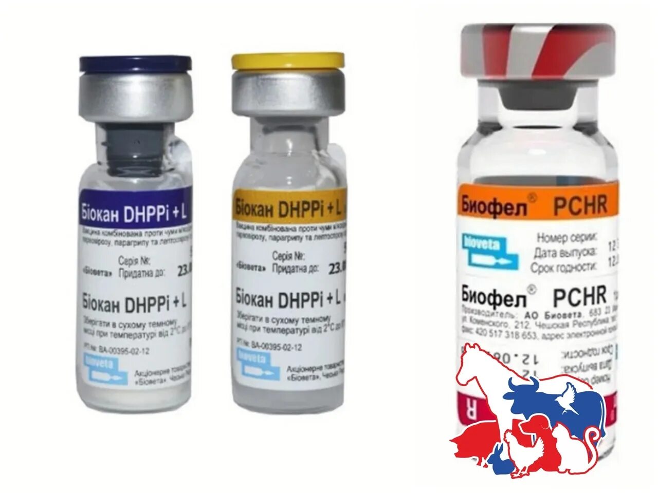 Биокан DHPPI+LR. Вакцина Биокан DHPPI+L. Вакцина Биокан DHPPI+LR для собак. Биокан DHPPI+LR 10*1доза.