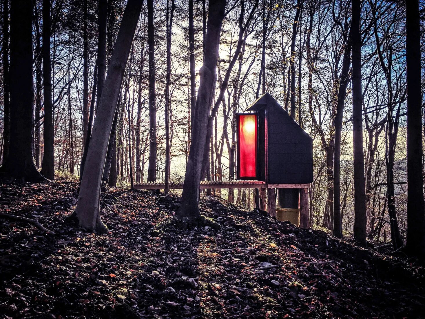 Toilet in nature. Invisible studio. Invisible studio. Туалет на обрыве. Invisible studio.