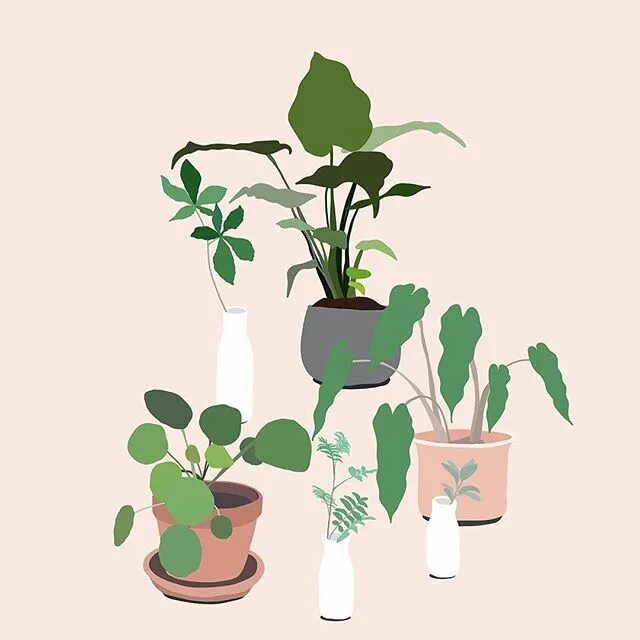 Plant party