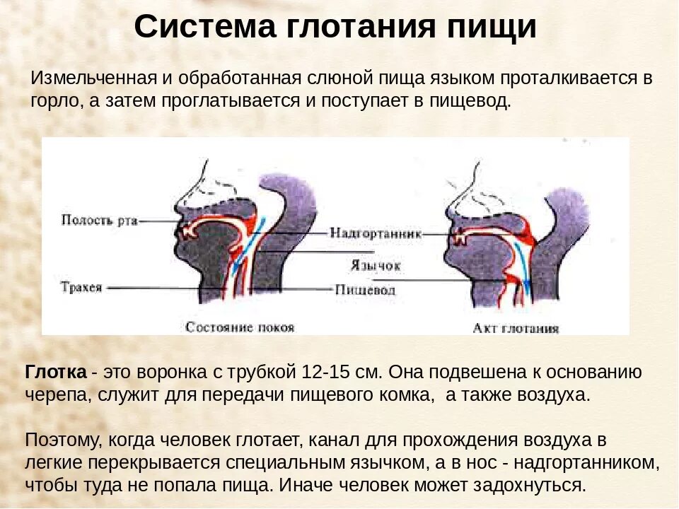 Ощущение инородного тела при глотании