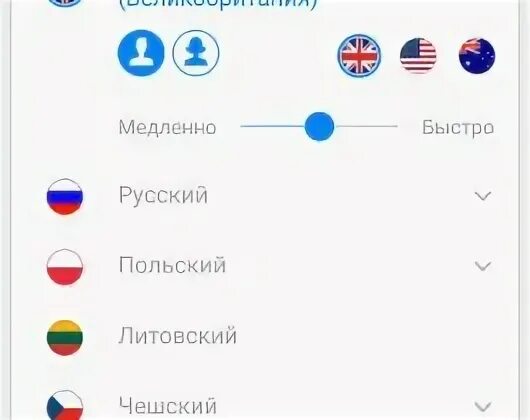 Переводчик с литовского на русский