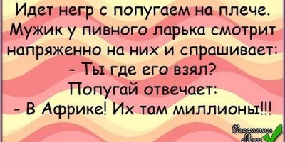 анекдоты про попугаев