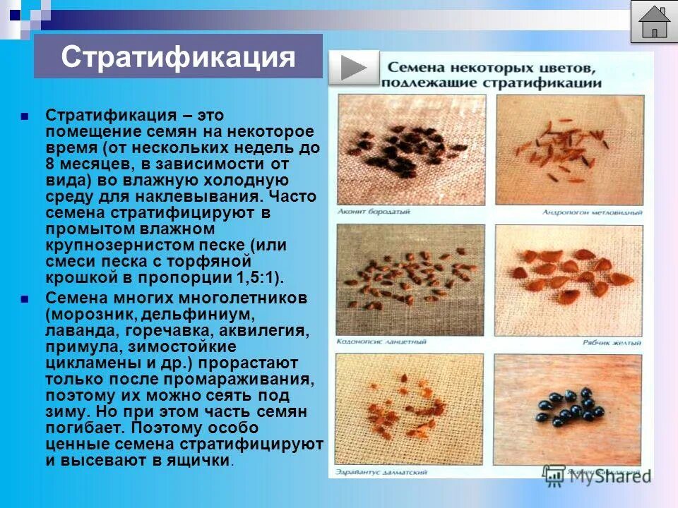 Как правильно сделать стратификацию