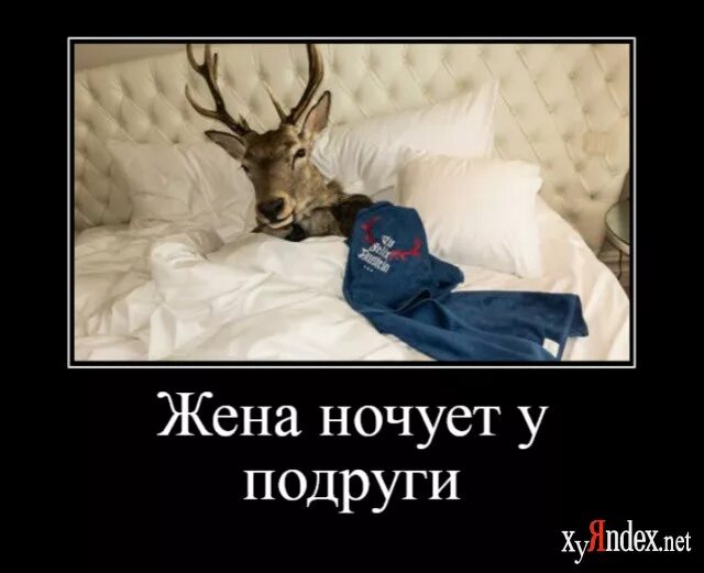 Не пришла домой ночевать