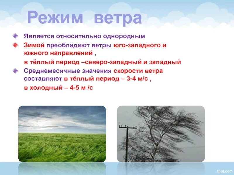 Какое направление ветра преобладало. Преобладают ветры Юго Западного направления. Климат для презентации. Преобладающий ветер. Господствующие ветры.