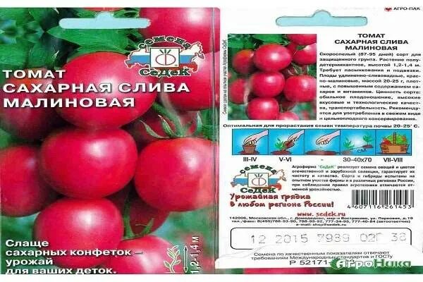 Сахарная слива томат описание. Томат сахарная слива желтая седек. Сорта розовых томатов для теплиц. Томат сахарная слива красная седек. Сахарная слива томат описание.