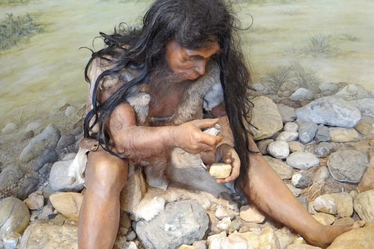 Белль, камилла 10 000 лет до н. Древние люди неандертальцы охота. Археологические находки древней индии. 3 тысячи лет они были. Неолитическая революция.