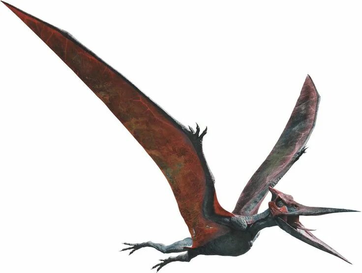 Exit code 1 pterodactyl