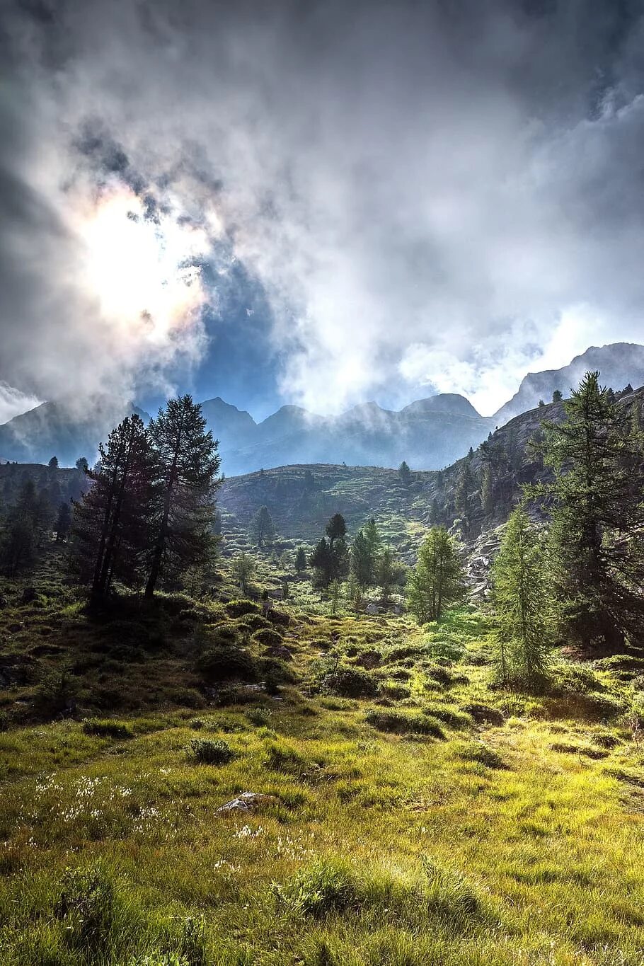 Лес горы. Лесистые горы. Горный лес. Панорама леса. Т в лесах и на горах