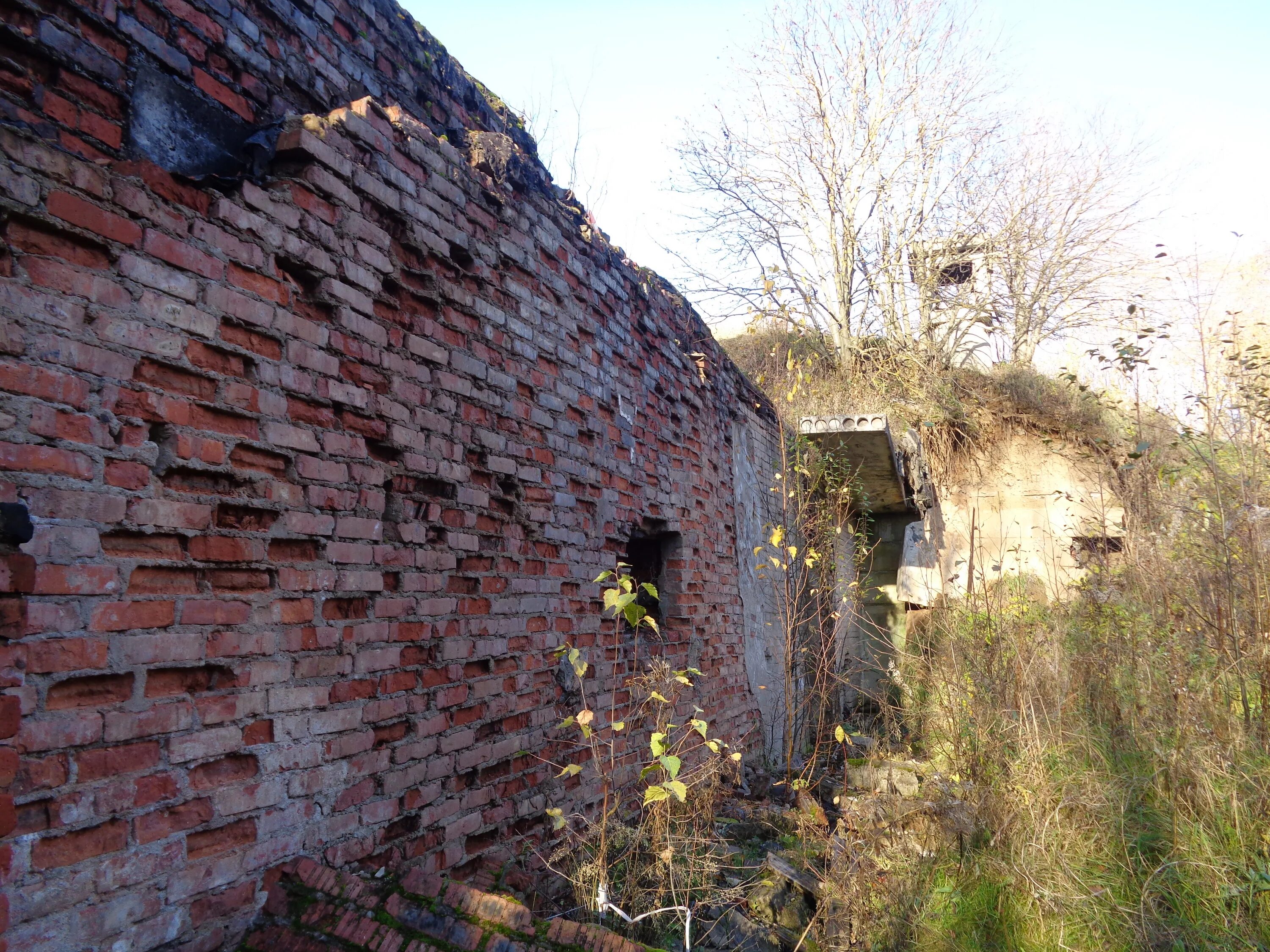 Питино череповец. Питино череповец воинская часть. Заброшенный бункер в череповце заречье. Заброшенный бункер в череповце заречье. Бункер череповец остинская улица.