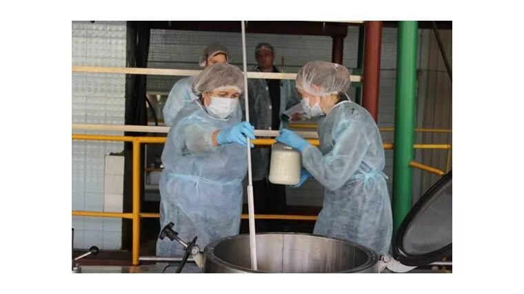 Молоко лабораторный исследования. Отбор проб молока молочных продуктов. Отбор проб молока на молокозаводе. Молоко в лаборатории. Пробы молока в лаборатории.