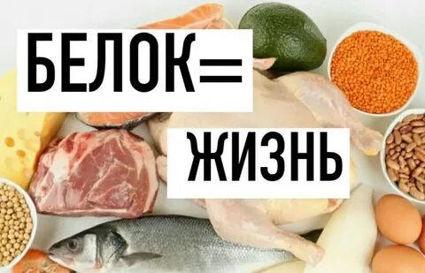 Белковая жизнь на земле