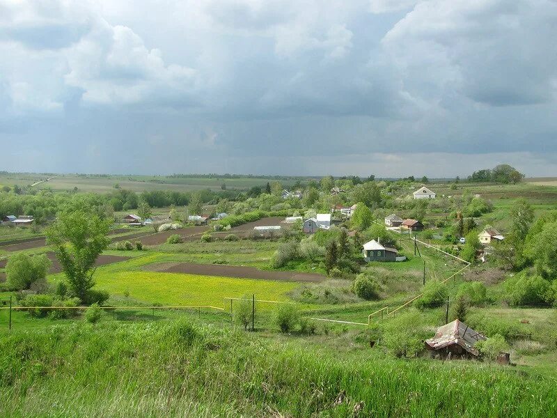 Деревни тульской области. Деревня Дедилово Тульская область. Тульская область деревня деревня. Милославщино Тульская область. Деревня Кадушенка Дубенский район Тульской области.