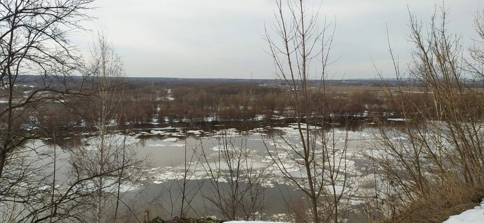 Гидропост горбатов на оке сегодня уровень воды