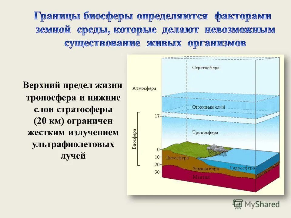 Где проводят верхнюю и нижнюю границу биосферы