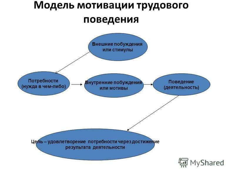 Мотивация поведения и деятельности. Мотивы трудового поведения. модели трудовой мотивации. модель мотивации поведения. стимулы трудового поведения.