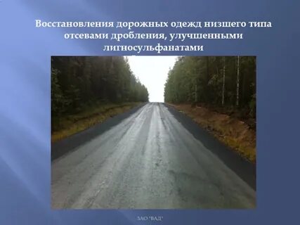 Тип дорожного