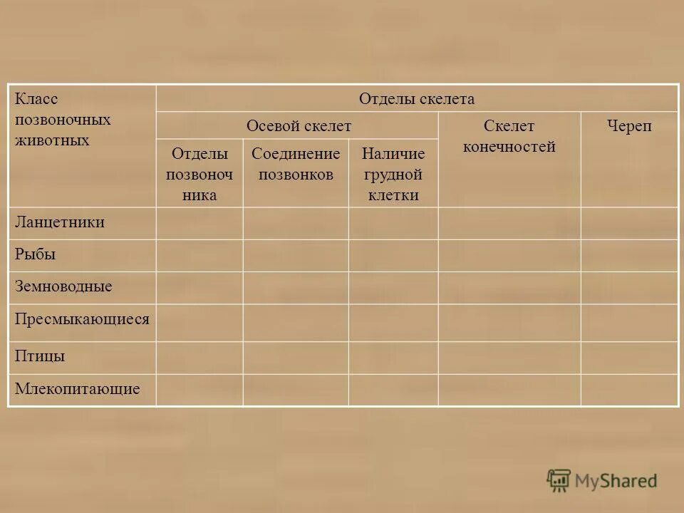 Скелет позвоночных животных таблица. Класс позвоночных животных таблица отделы скелета 7 класс. биология 7 класс таблица класс позвоночных животных отделы скелета. отделы скелета таблица 7 класс. таблица отделы скелета класс позвоночных животных.