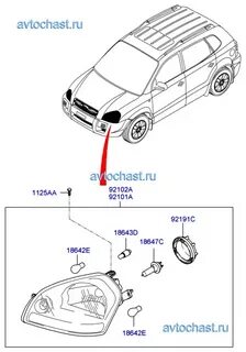Лампочки туксон 1