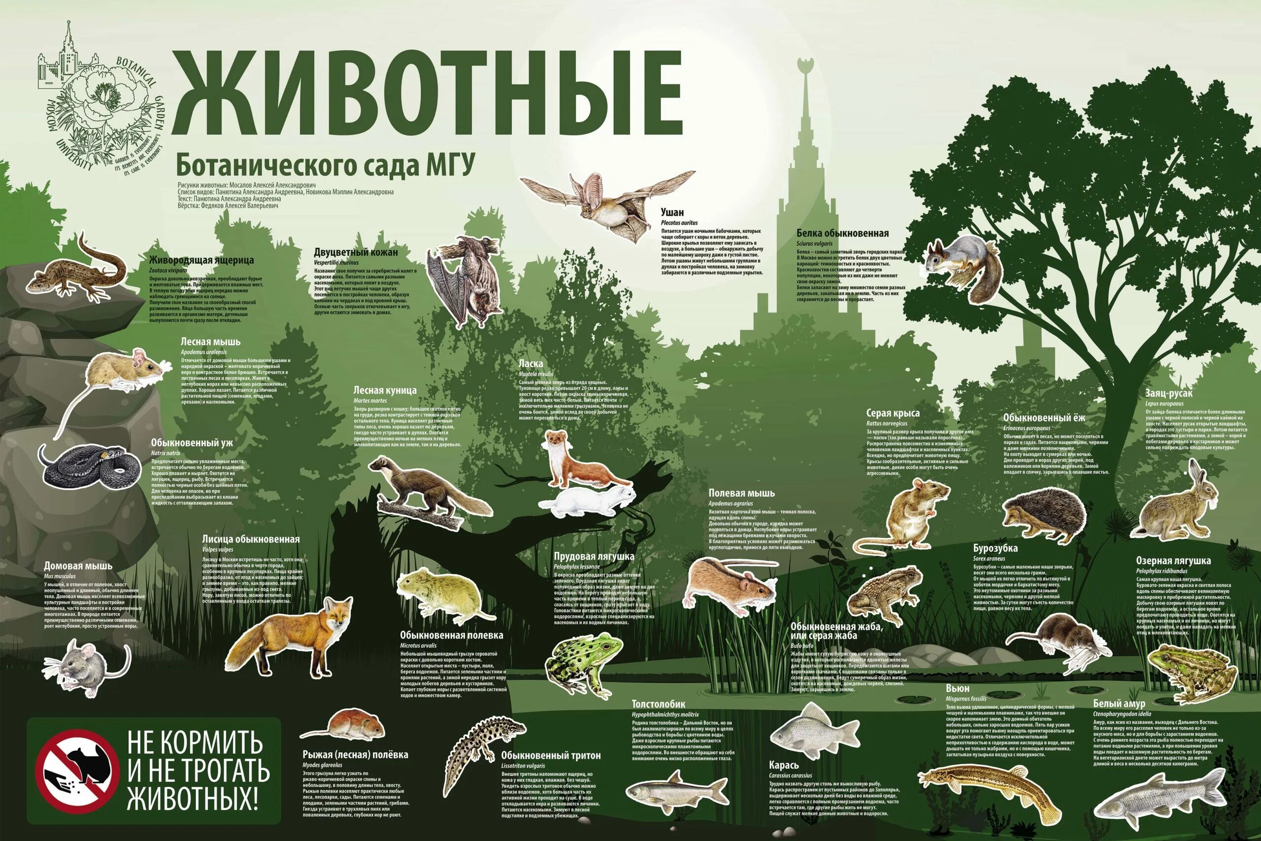 Ботанический сайт мгу. Ботанический сад биологического факультета МГУ Раменки. Ботанический сад биологического факультета МГУ карта. Ботанический сад животные. Стенд Ботанический сад-.