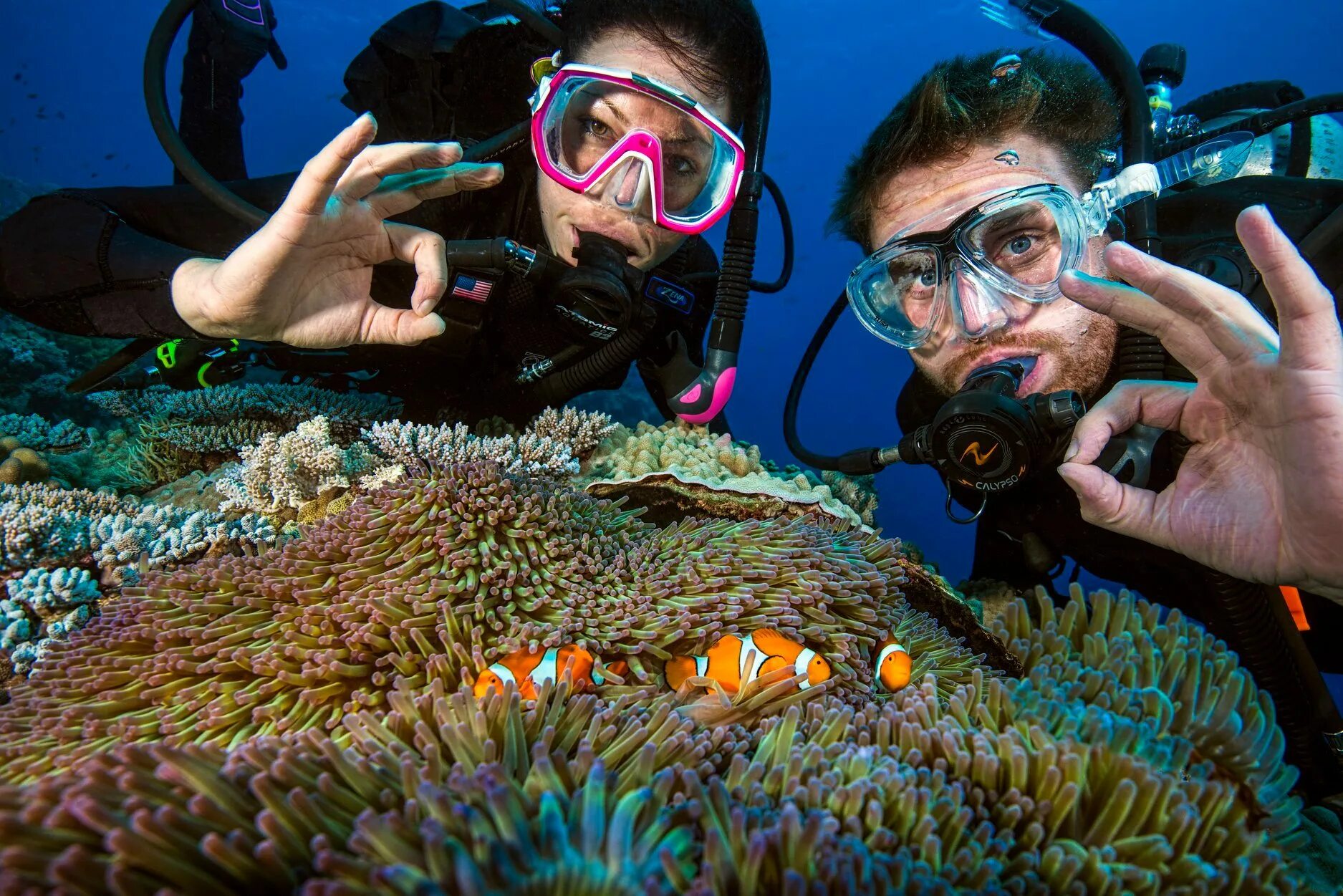 9 dives