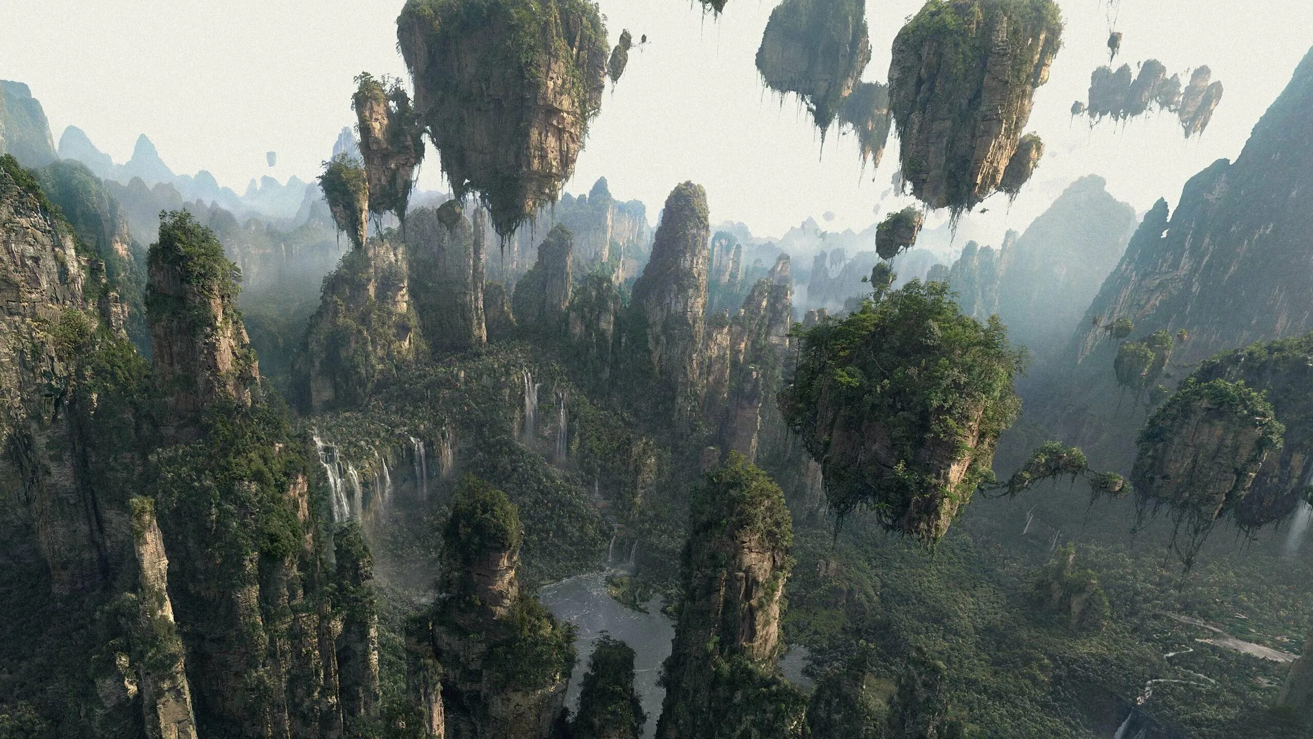 парящий лес. парящий лес. фантастические пейзажи. горы улинъюань в живописи. чжанцзяцзе (национальный лесной парк).