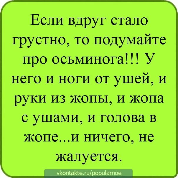 Если грустно вспомни. Если тебе грустно подумай про осьминога. анекдот про осьминога. вспомни про осьминога. когда вам грустно вспомните про осьминога.