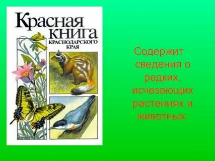 Растения и животные красной книги краснодарского края