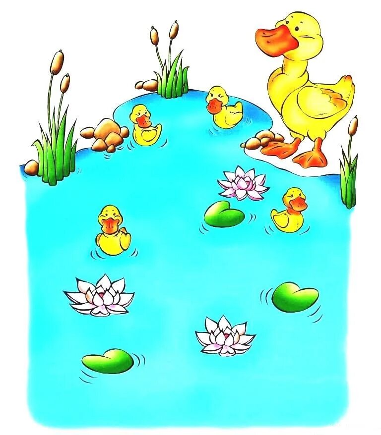 прописи утка. утка задание. цыплята задания для малышей. утка задания для детей. цыпленок задание дошкольники.