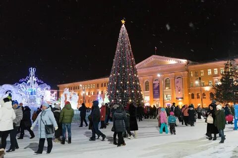 Елки томск