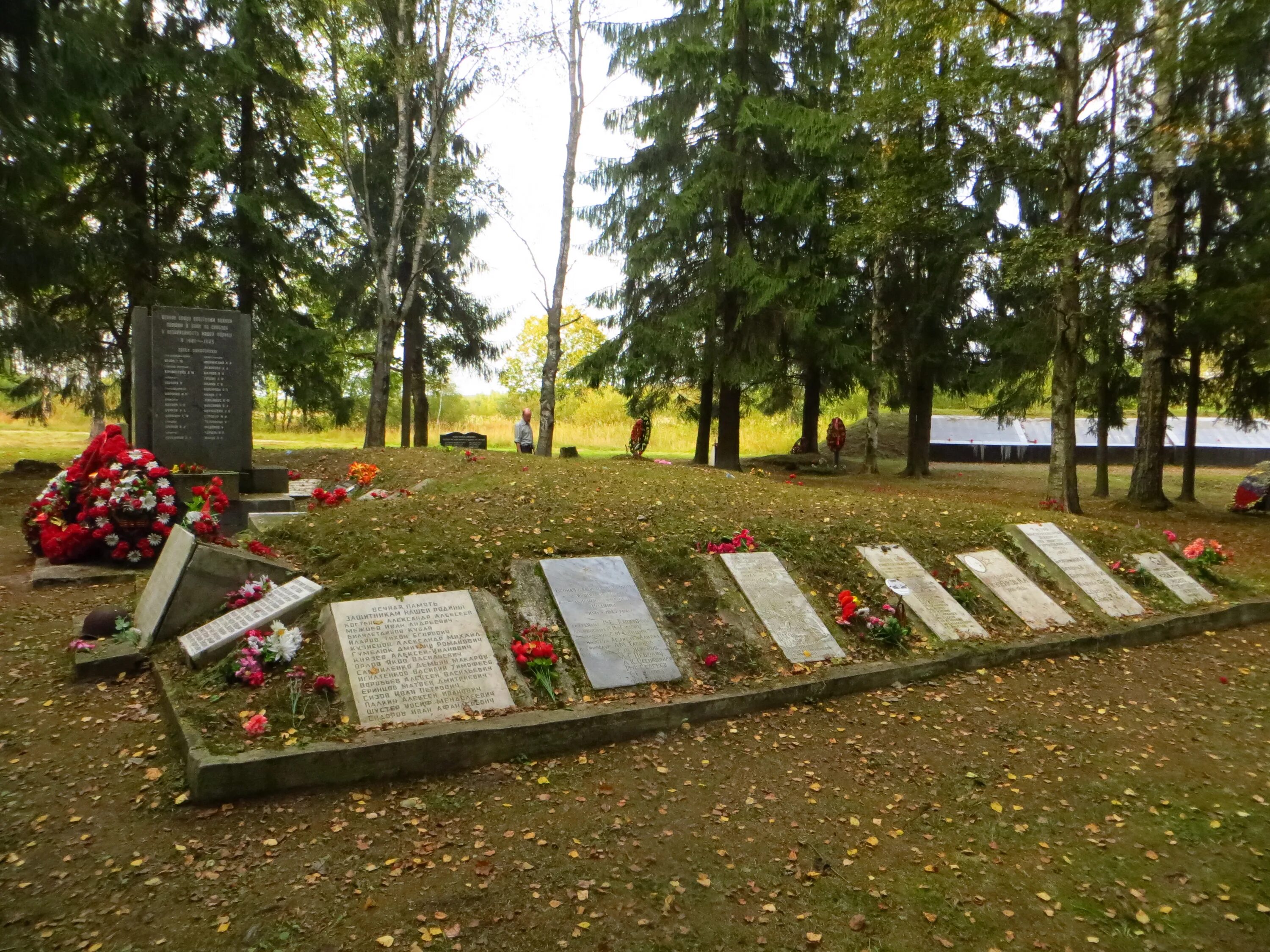 Мемориалы и памятники в поселке невская дубровка ленобласть. Кладбище дубровка дедовичи. Кладбище дубровка. Кладбище дубровка. Кладбище в деревне.