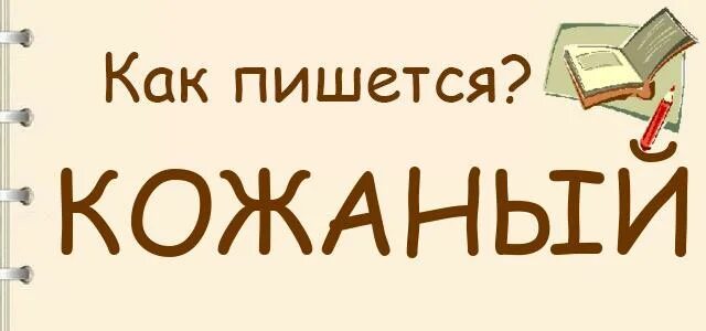 Одна н пишется в слове кожаный. Кожаный как писать. Написание слова кожаный. Кожаный как пишется правильно. Как пишется слово кожаный или кожанный правильно.