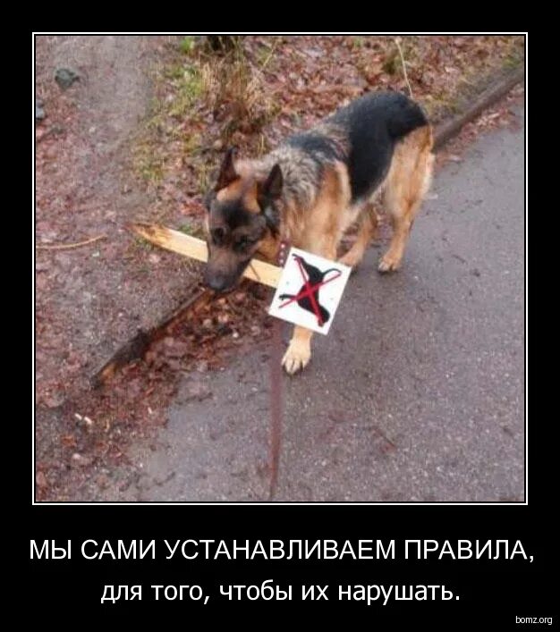 Нарушать закон. Законы чтобы их нарушать. Правила для того чтобы их нарушать. Законы существуют чтобы их нарушать. Правила существуют чтобы их нарушать.