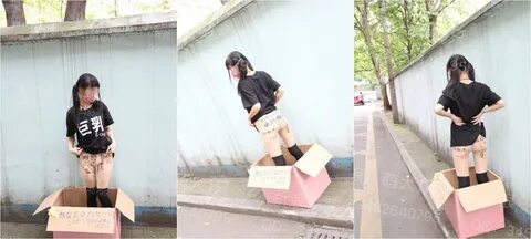 萌 犬 一 只 - lucasphotostudio.com.