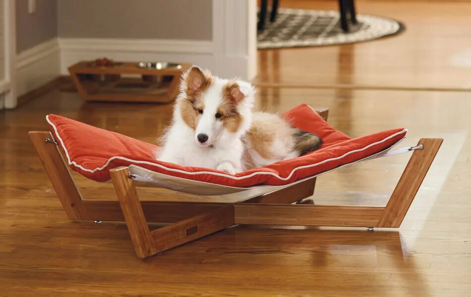 Лежанка scruffs. Лежак для собак trixie jimmy 110х95 см. Лежанка для собак. Лежак для собак zoo-m lama 70х50х9 см. Лежанка зеленая.