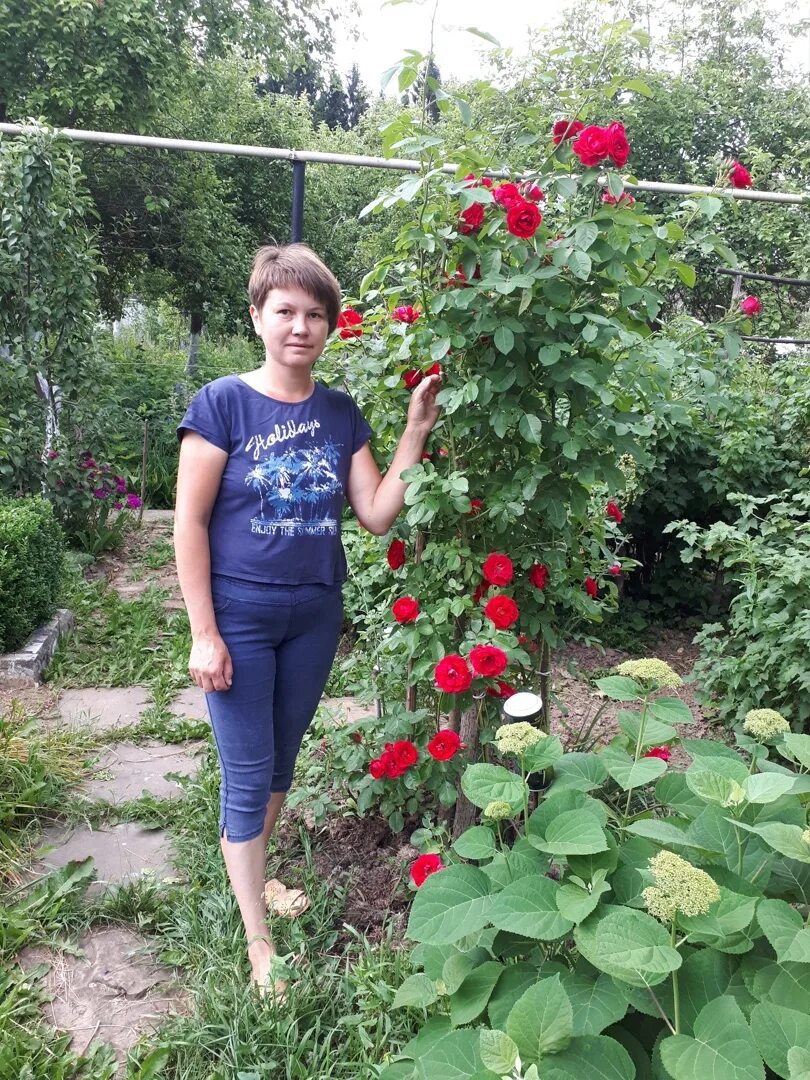 Саженцы liubimyi sad ru. Питомник Ванюшкин сад Чебоксары. Ванюшкин сад Моргауши. Питомник Чебоксары саженцы.