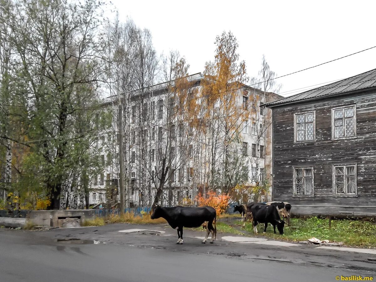 Теплая погода лето город. Архангельск в октябре. Архангельск октябрь. Архангельск октябрь. Архангельск октябрь.