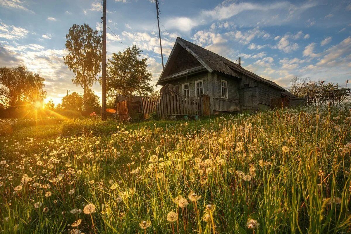 Штат Канзас Сельская местность. Деревня красота Новгородская область. Деревня крестовая Валдайского района.