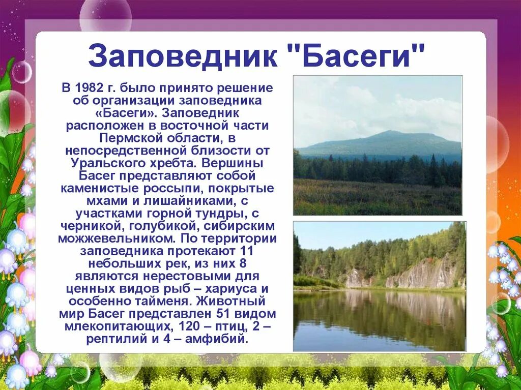 Сведения пермского края. Заповедники Пермского края Басеги кратко. Мой Пермский край презентация. Сообщение о заповеднике Пермского края. Заповедники Пермского края презентация.