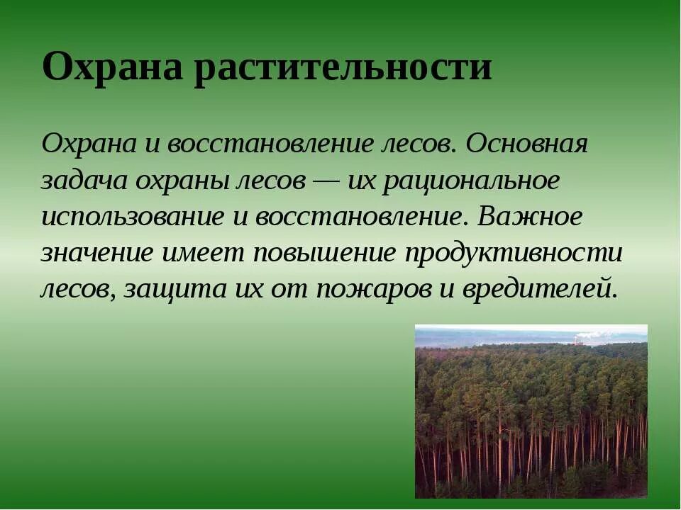 Влияние растительного покрова. Сохранение лесов. Защита растительности. Современное состояние и охрана растительности.