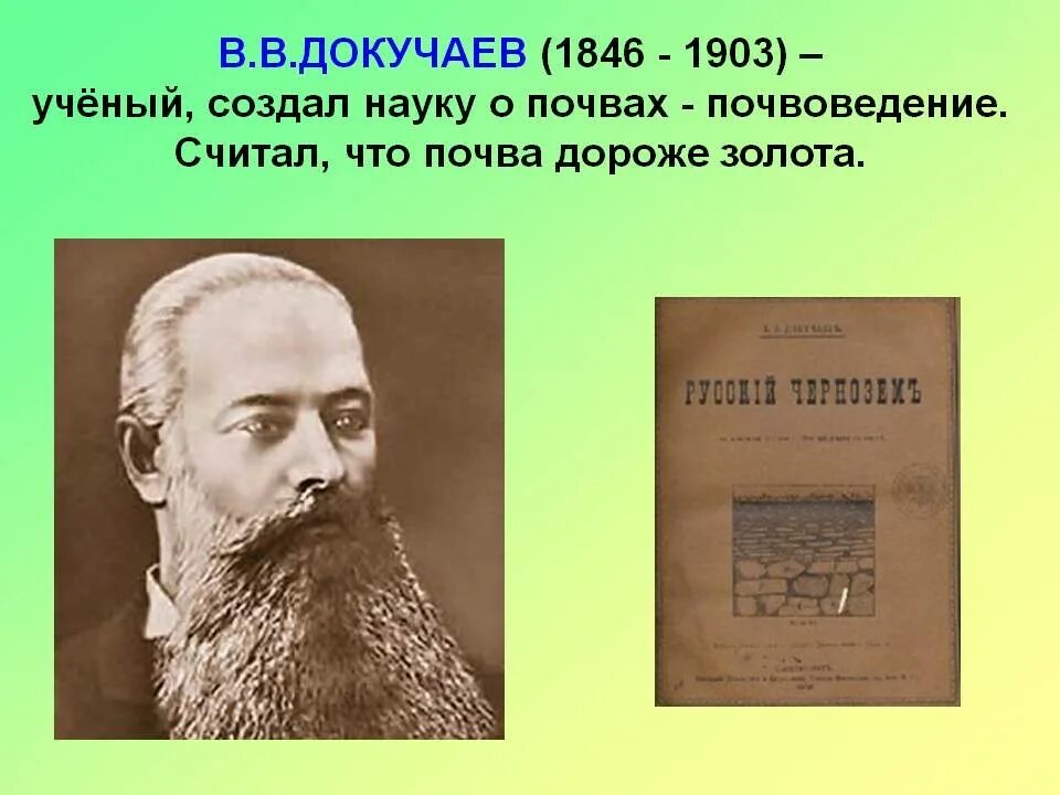 В. В. Докучаева (1846— 1903). В. В. Докучаев (1846. Высказывания о почве. Высказывания ученых о почве. Науку о почве создал