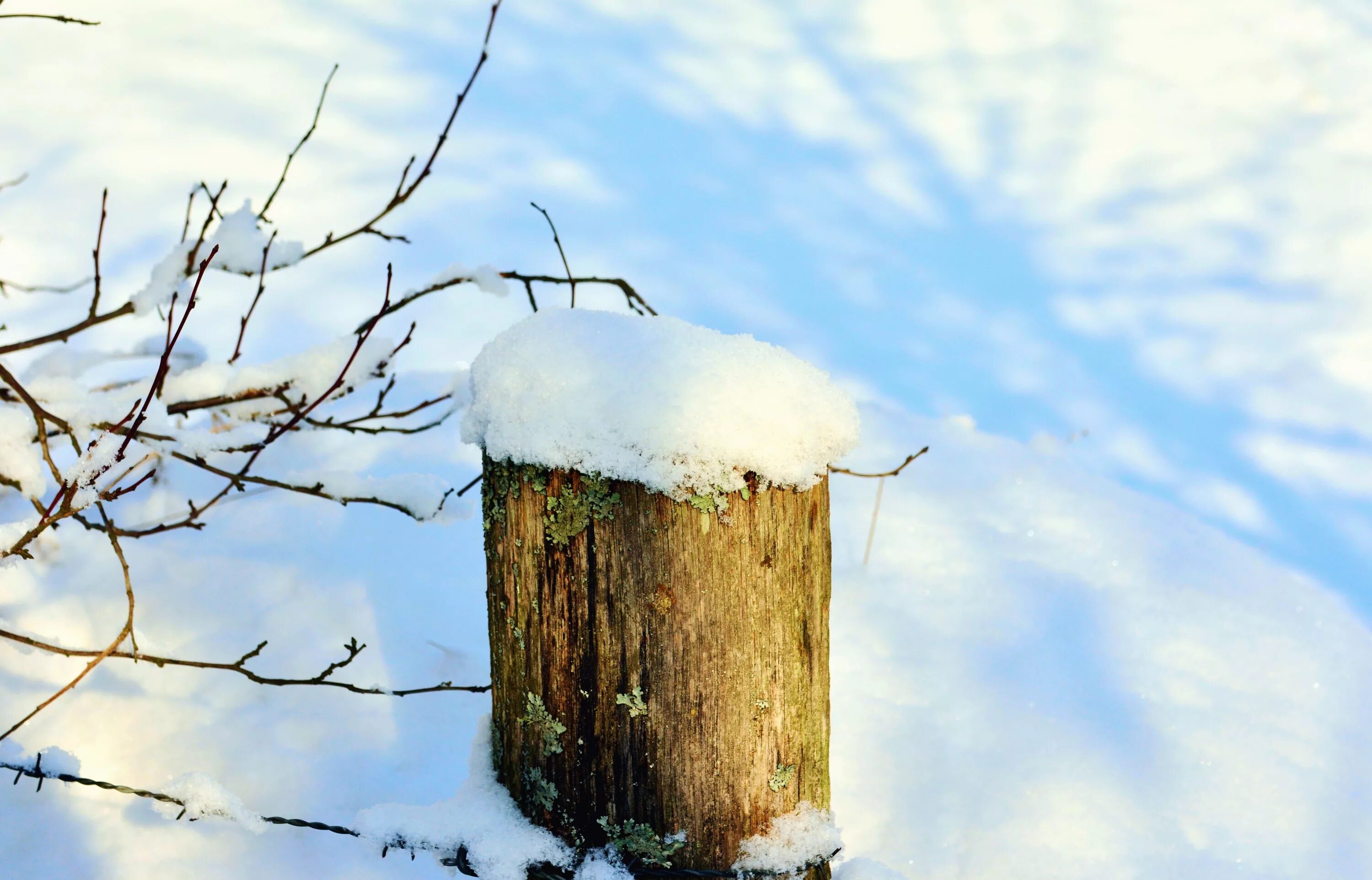 Зимний забор. Заснеженный столб. Столб в снегу. Столб деревянный снег. Почему зимой металл на ощупь холоднее дерева