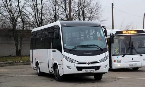 Автобус 116 спб