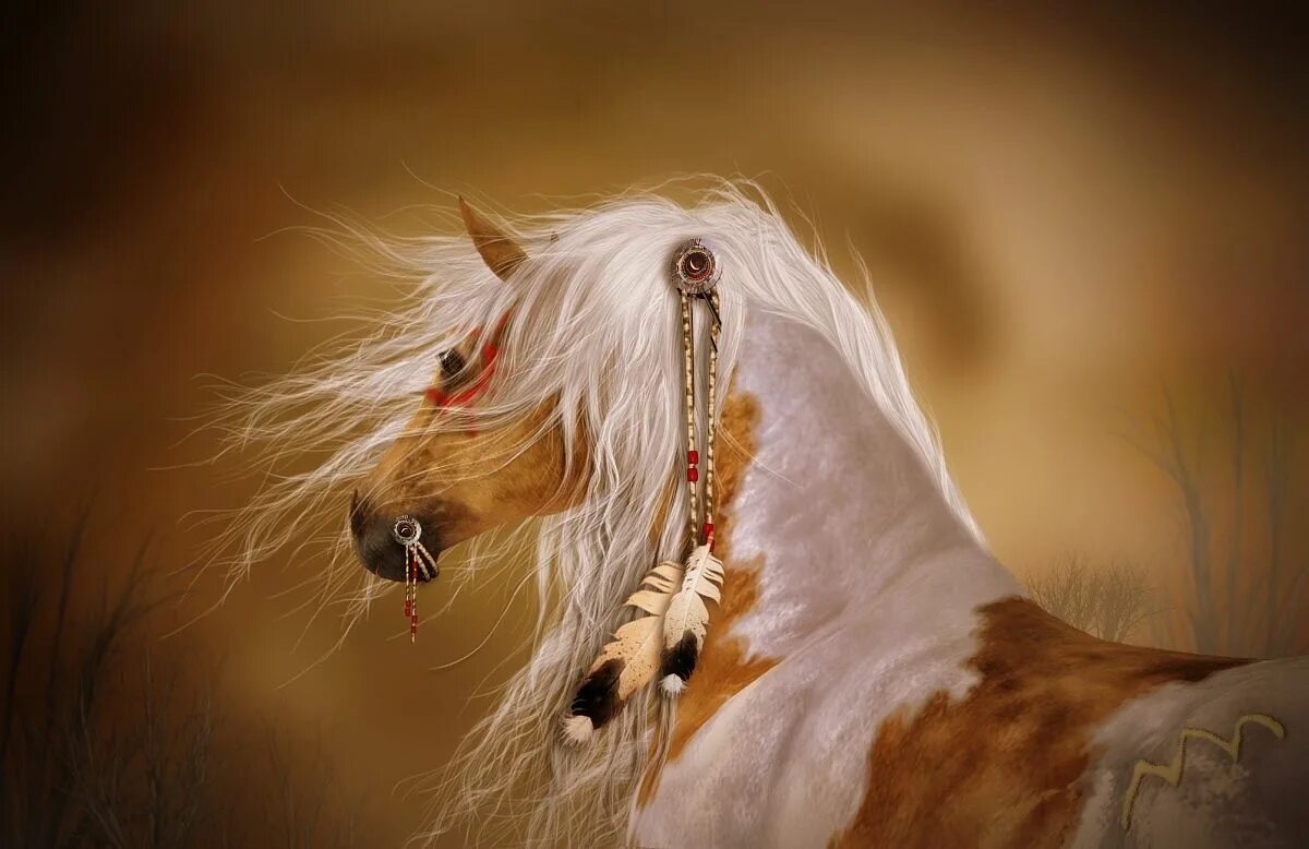 Indian horse