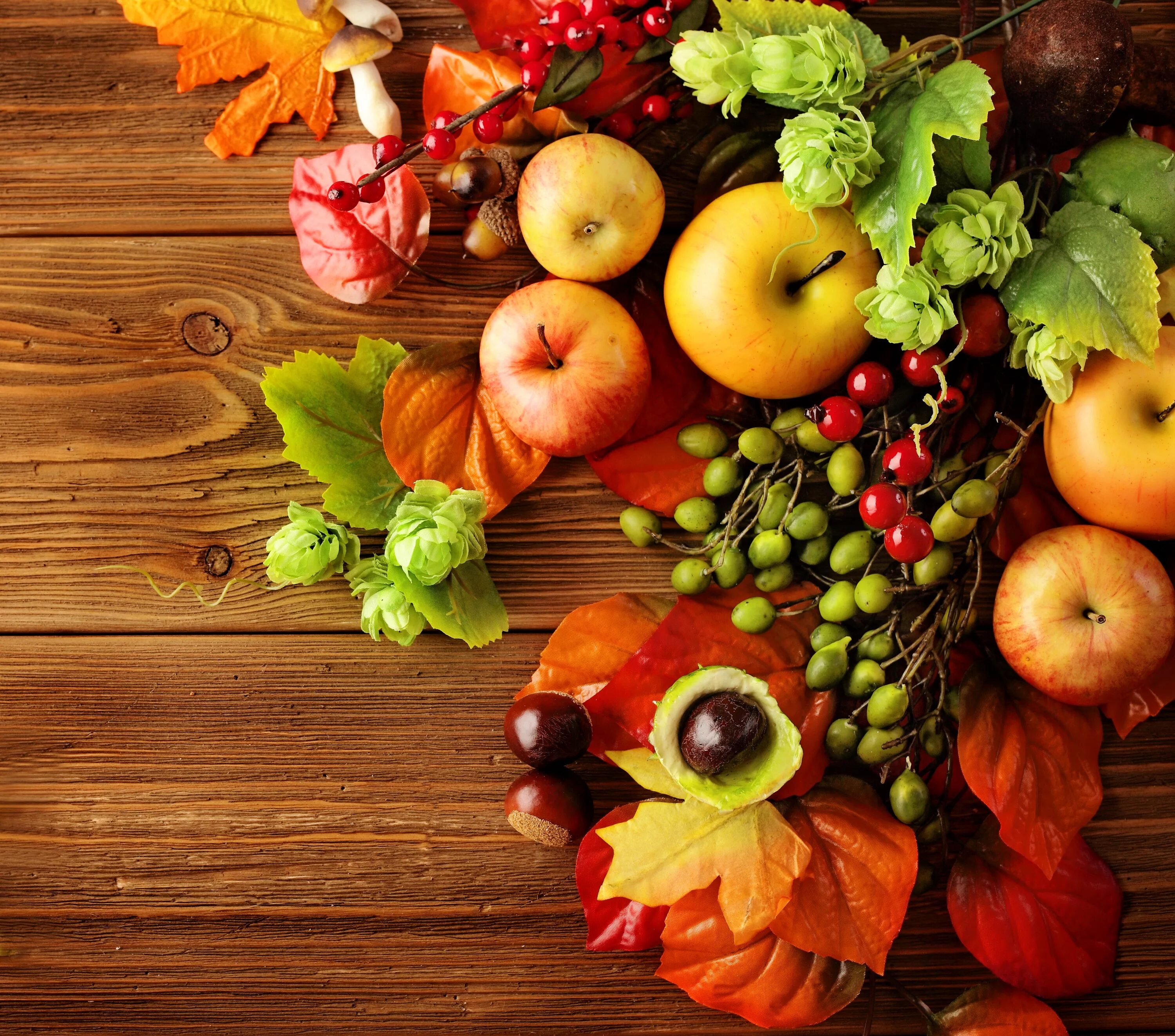 Яблоко фрукт или овощ. Осенние овощи и фрукты. Осенний урожай. Осень фрукты. Осенние яблоки.
